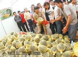 广西茄瓜今日收购价格,行情波动，市场动态一览”