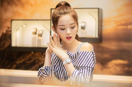 明星网红力荐的随身wifi,明星同款随身WiFi大揭秘