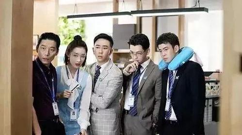 安家电视剧演员表,实力派明星齐聚，演绎都市房产风云