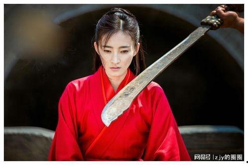 王丽坤电视剧,演绎传奇人生，电视剧中的璀璨星辰