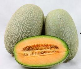 下桥哈密瓜批发市场今日行情