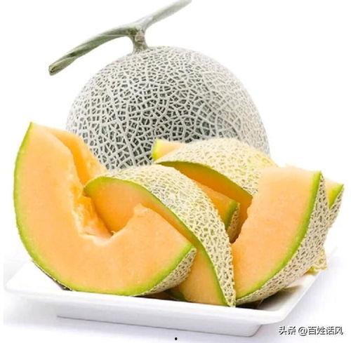 下桥哈密瓜批发市场今日行情