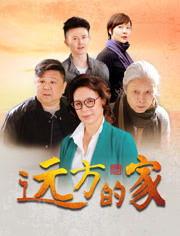 远方的家电视剧,跨越时空的亲情之旅