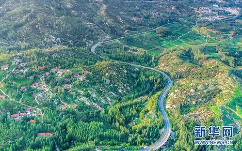 汽车明星网红是谁呀图片,揭秘当红明星网红是谁？