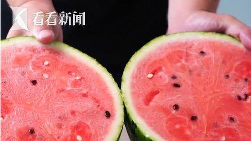 今日吊瓜多少钱一个斤,每斤XX元，品质佳选不容错过！