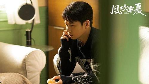 半夏电视剧,探寻半夏之谜，揭开情感纠葛与成长历程