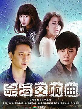 命运交响曲电视剧,命运与爱情的交响乐章