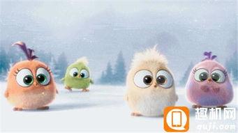 小鸟唱歌视频 热门话题,揭秘热门视频中的小鸟歌唱之谜