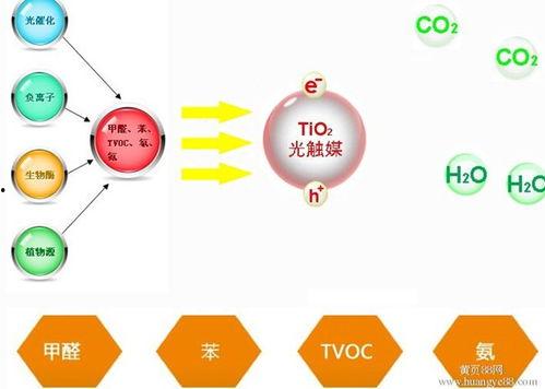 热门话题除甲醛骗局,别让虚假宣传蒙蔽了双眼