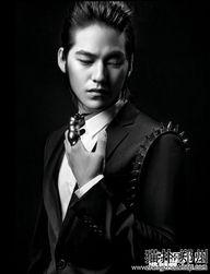 长得帅的男明星网红,揭秘当红帅气男明星网红的魅力秘诀